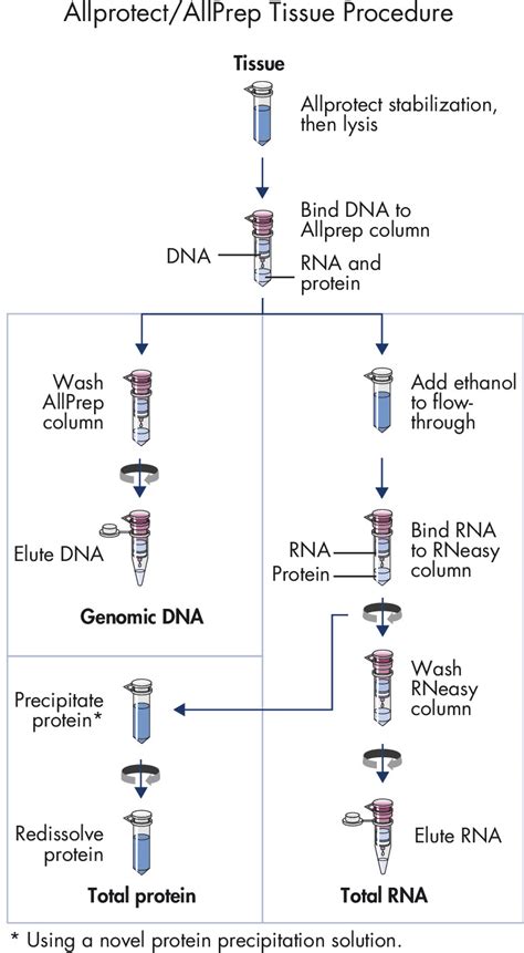 how to isolate mrna from cells|The Basics: RNA Isolation .